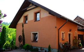 Apartments Ve Dvoře